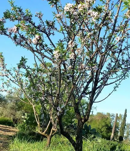 To Archontiko Tis Anastasias Athienou