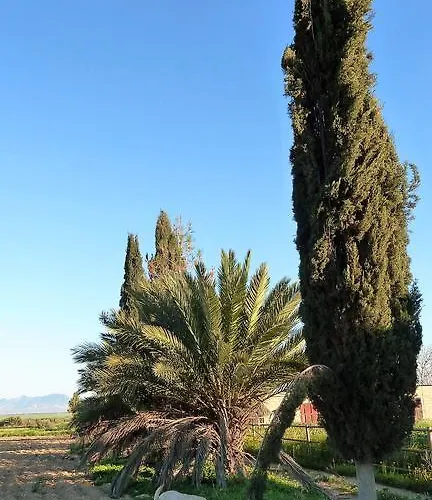 To Archontiko Tis Anastasias Athienou