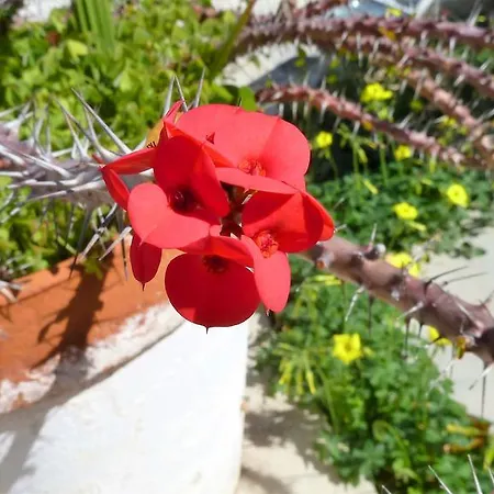 To Archontiko Tis Anastasias