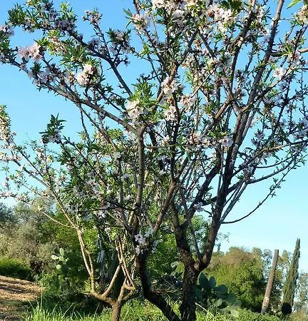 To Archontiko Tis Anastasias Athienou