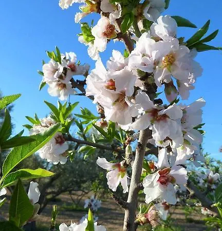 To Archontiko Tis Anastasias * Athienou