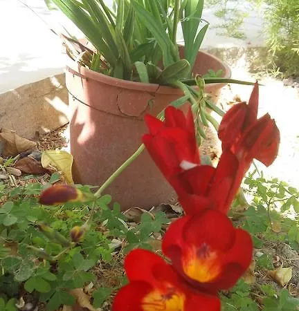 To Archontiko Tis Anastasias Ferienhaus *