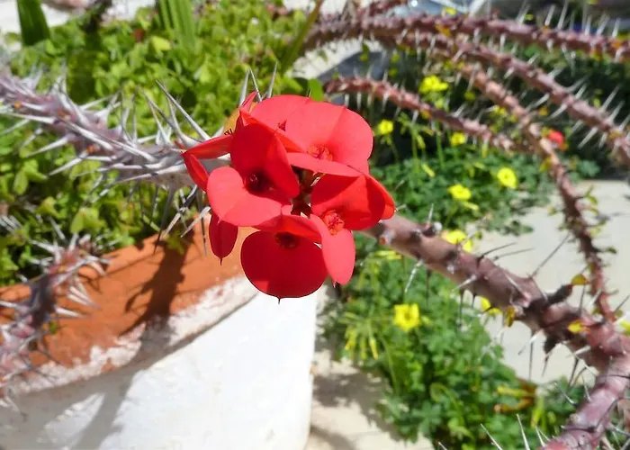 To Archontiko Tis Anastasias