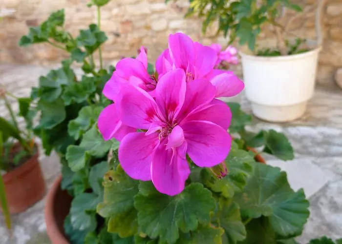 بيت للعطل To Archontiko Tis Anastasias