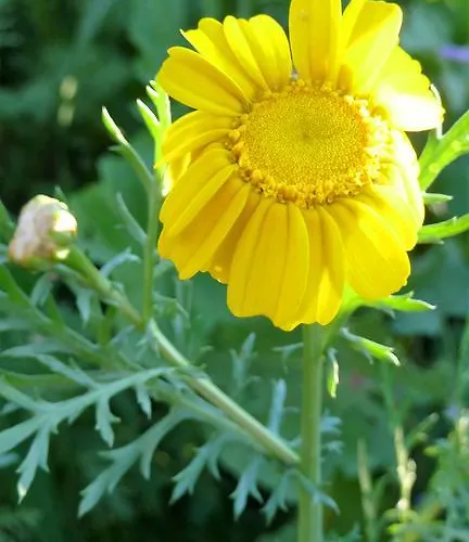 To Archontiko Tis Anastasias بيت للعطل