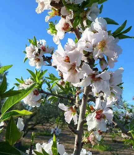 To Archontiko Tis Anastasias * Athienou