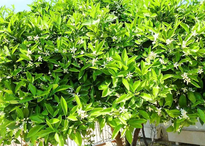 To Archontiko Tis Anastasias * Athienou