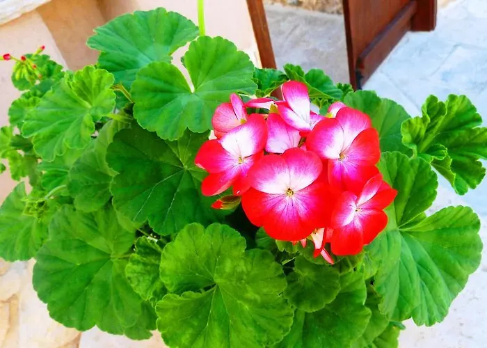 Casa de Férias To Archontiko Tis Anastasias