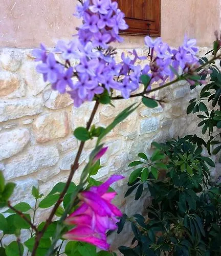 To Archontiko Tis Anastasias بيت للعطل Athienou